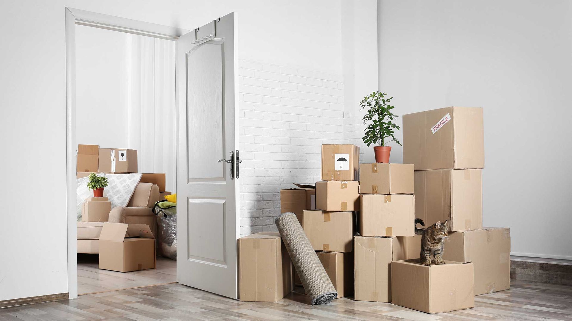Boxes stacked in a room with an open doorway. A small plant and a rug are present.